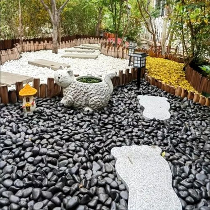 561810311